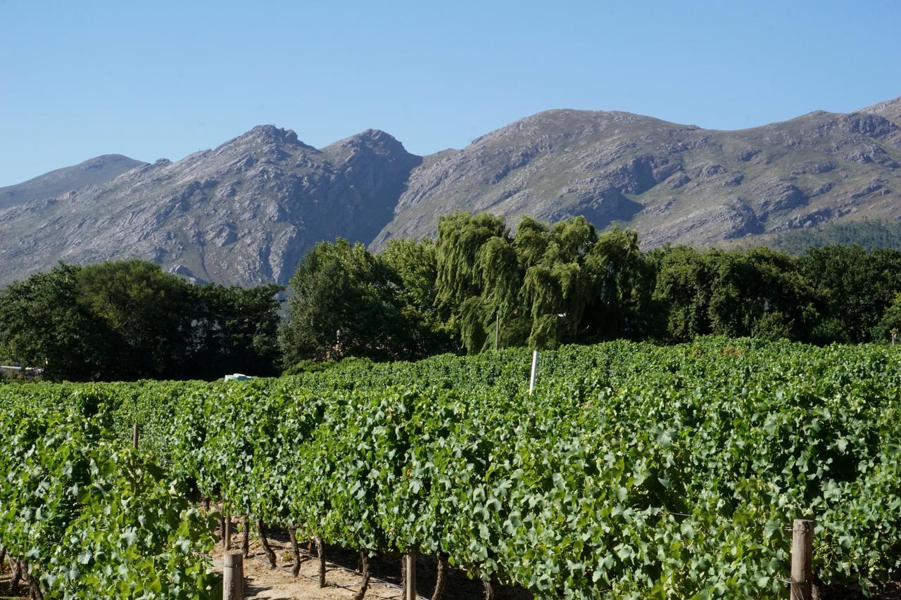 5 Pierre Jourdan Villa Franschhoek Exterior photo